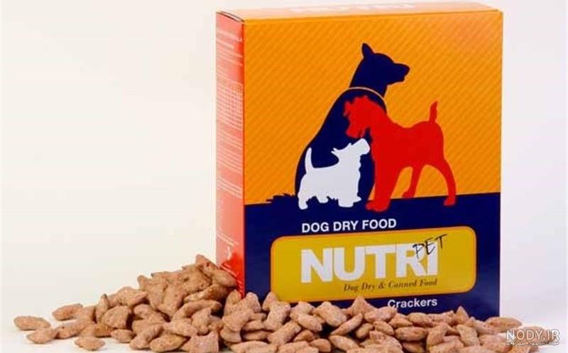 غذای خانگی بچه گربه یک ماهه غذای خانگی بچه گربه یک ماهه