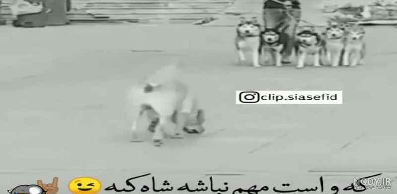 فیلم لاتی جنگی