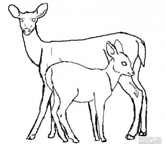 نقاشی اهو