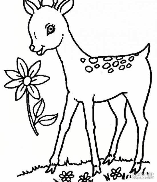 نقاشی دو آهو