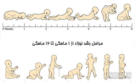 نوزاد در هر ماه چه کارهایی انجام میدهد نوزاد در هر ماه چه کارهایی انجام میدهد