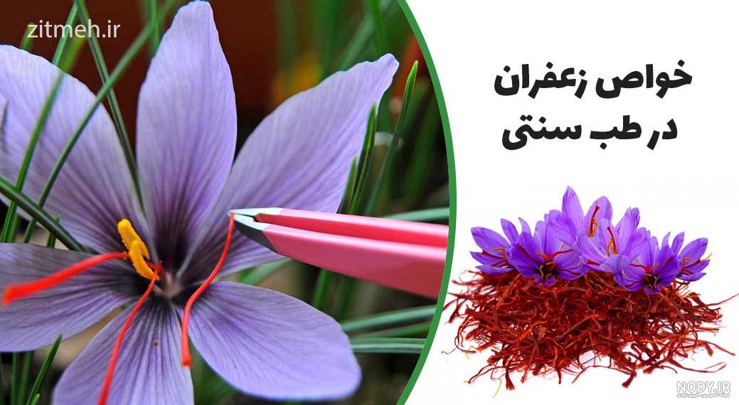 پیاز زعفران