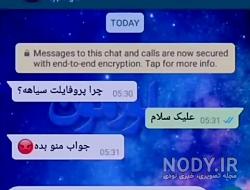 چت با رفیق برای استوری