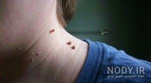 طرح تاتو برای پشت گردن مردانه طرح تاتو برای پشت گردن مردانه