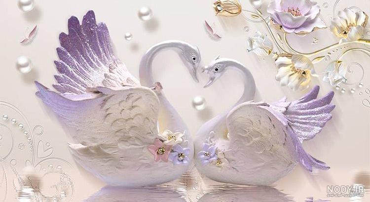  عکس قو فانتزی