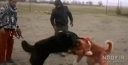 انتقام سگ علی پلنگ اپارات انتقام سگ علی پلنگ اپارات