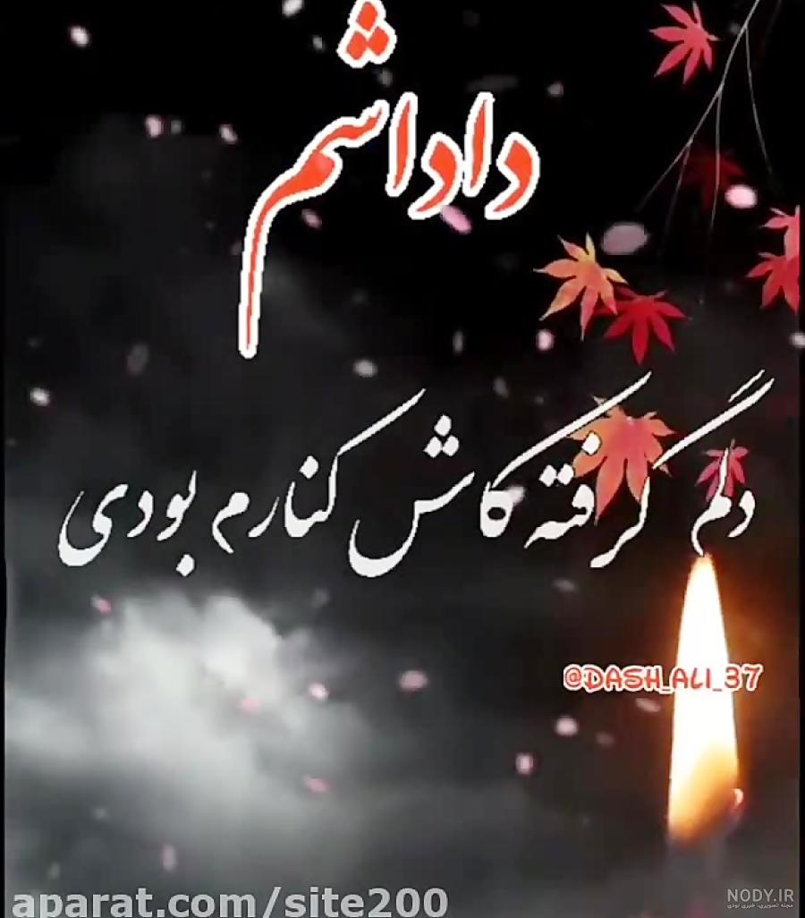برادر یعنی پشتیبان