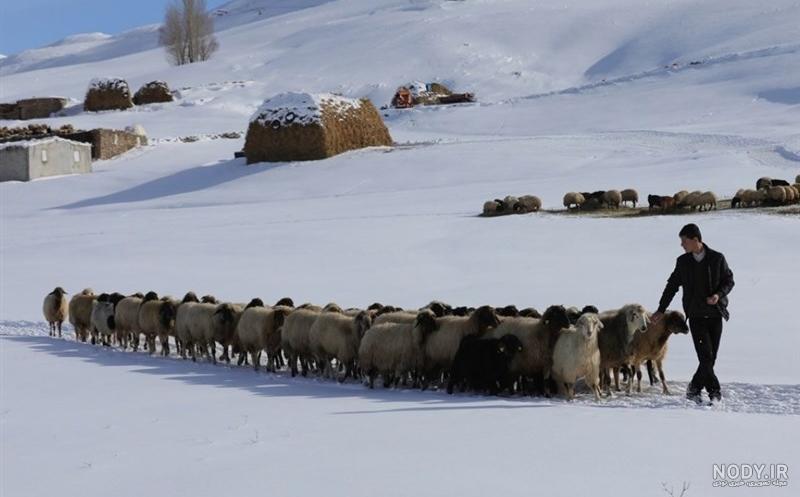 بهترین شهر ترکیه برای سفر در تابستان