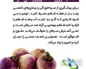 ترشی شلغم شیرازی