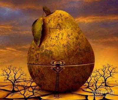 تصویر سازی ذهنی در مطالعه تصویر سازی ذهنی در مطالعه