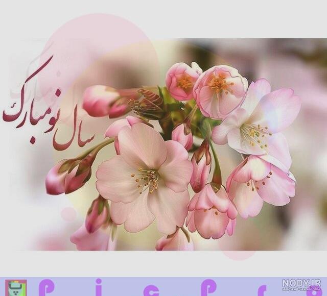 تولدم مبارک فروردینی ام