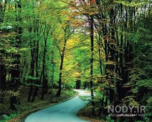 جاهای دیدنی گلستان بندر ترکمن جاهای دیدنی گلستان بندر ترکمن