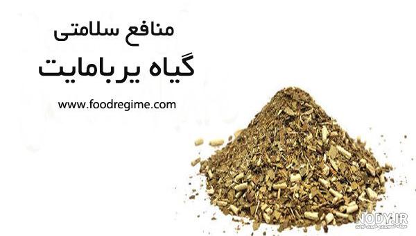 خرید چای اولونگ