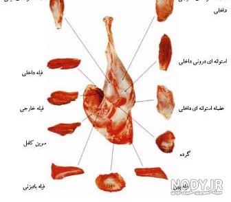 خرید گوشت شتر مرغ در تهران