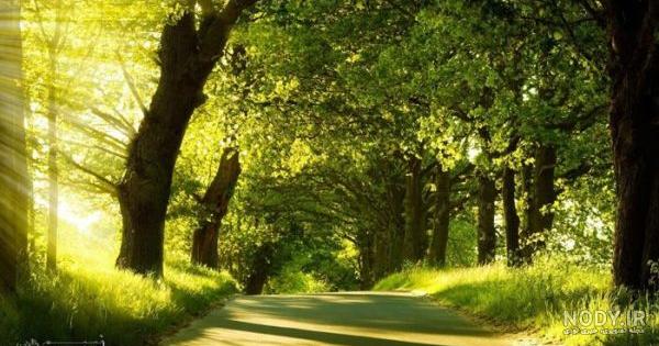 دانلود عکس طبیعت فصل بهار