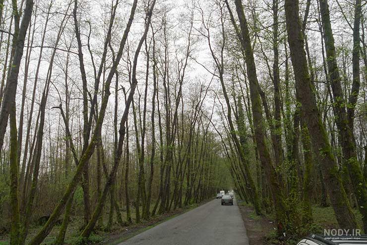 روستای چهارده آستانه اشرفیه