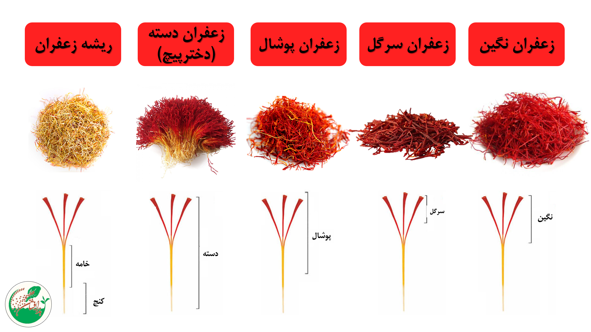 شرکت نگین زعفران