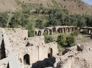شیر سفید باغ وحش صفادشت