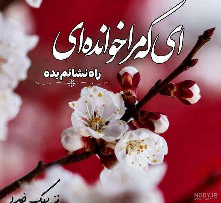 عکس زیبای دوست داشتنی عکس زیبای دوست داشتنی