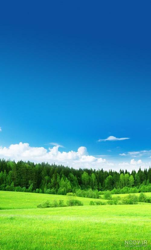 عکس شکوفه بهاری برای پروفایل عکس شکوفه بهاری برای پروفایل