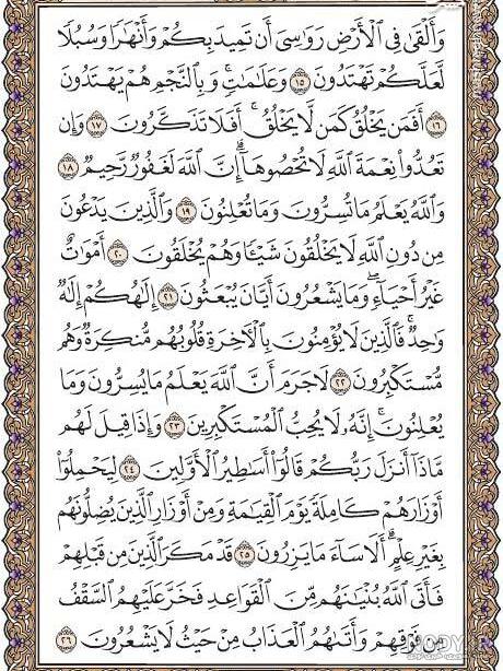 عکس صفحه ۲۶۹ قرآن کریم