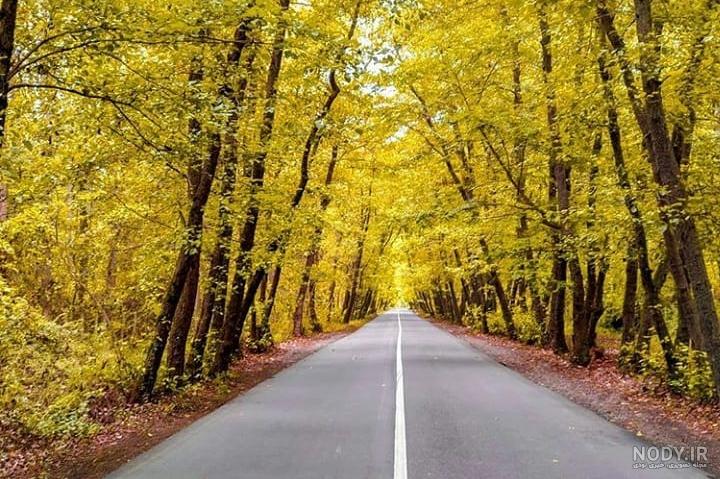 عکس صفرا بسته