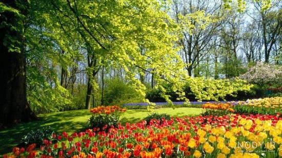 عکس طبیعت زیبا فصل بهار