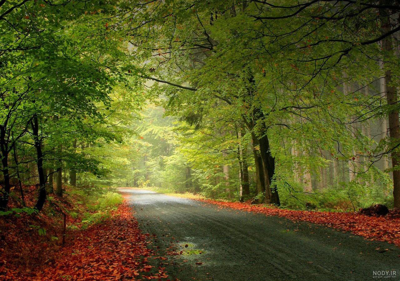 عکس طبیعت زیبای فصل بهار