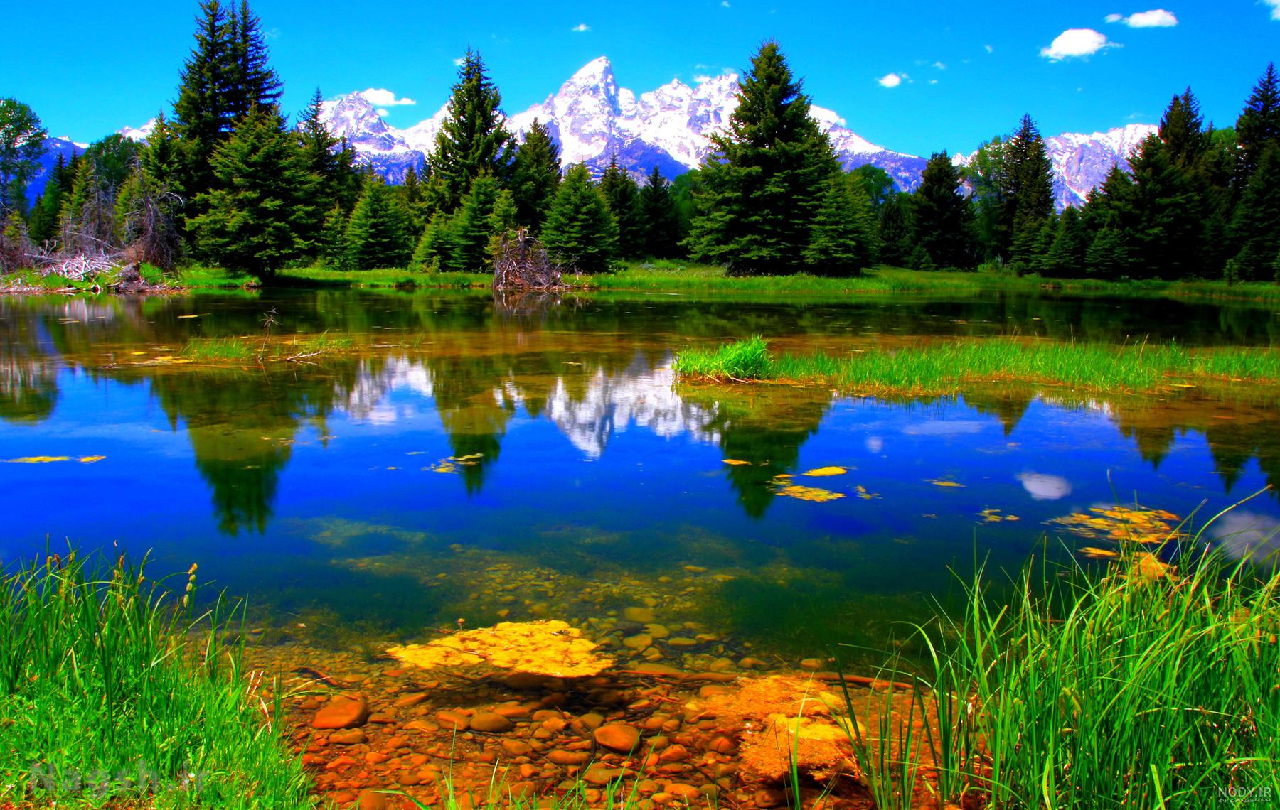 عکس طبیعت فصل بهار