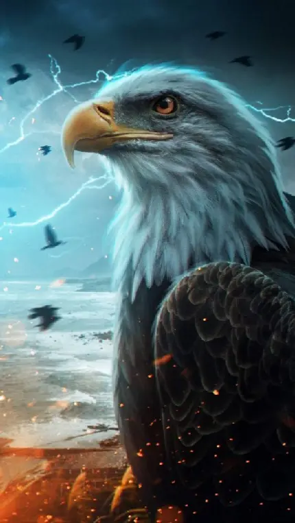 عکس عقاب و کلاغ عکس عقاب و کلاغ