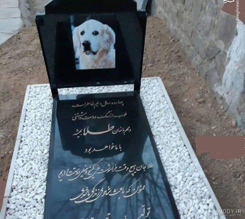عکس علی پلنگ عکس علی پلنگ
