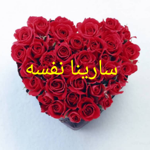 عکس نوشته سارینا انگلیسی