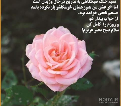 عکس نوشته صبح بخیر عزیزم