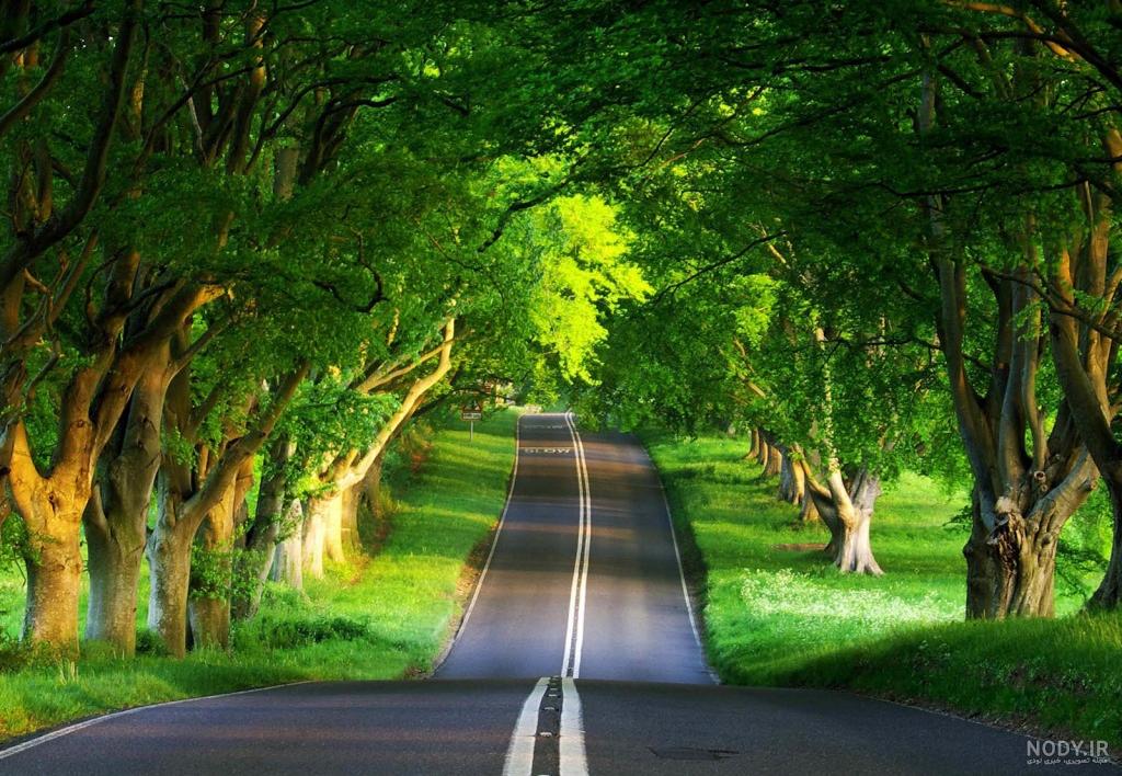 عکس پروفایل از طبیعت بهار