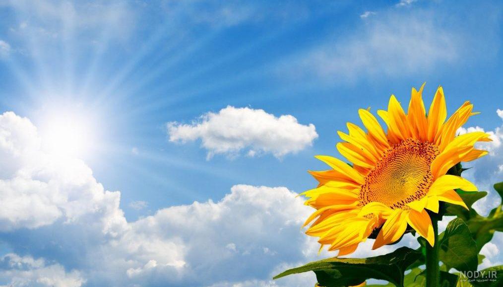 عکس پروفایل دخترونه تابستانی