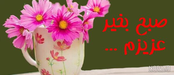 عکس پروفایل صبح بخیر عزیزم