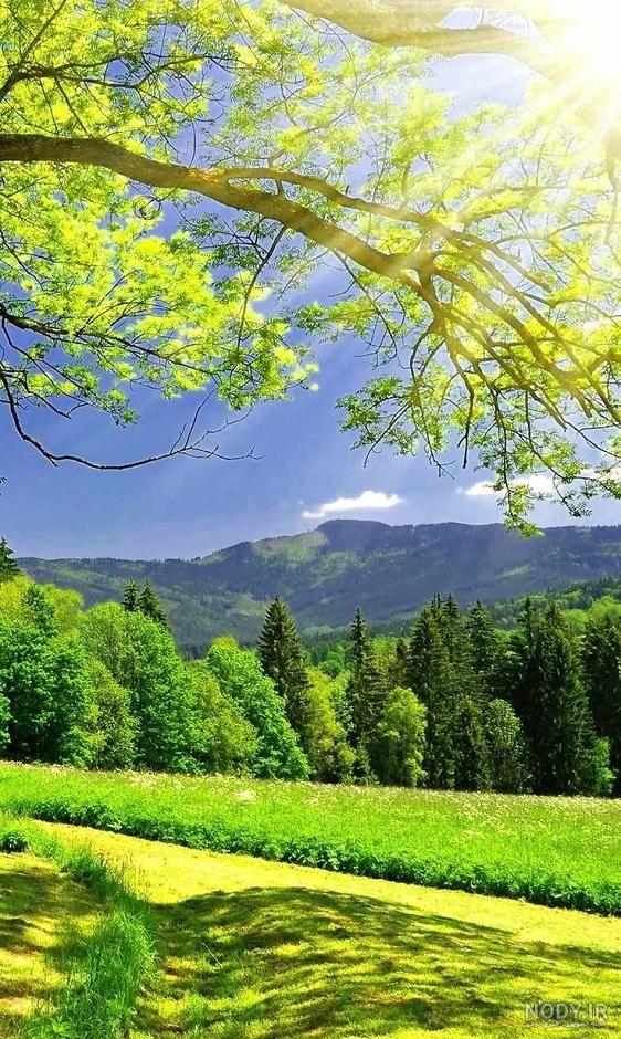 عکس پروفایل طبیعت تابستان زیبا