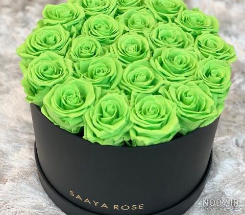 عکس گل رز سبز زیبا