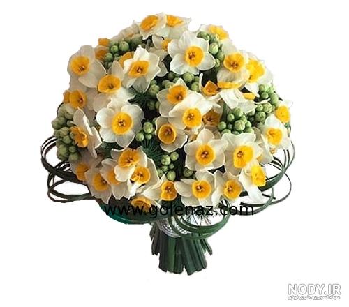 عکس گل نرگس برای نقاشی