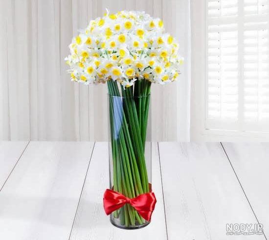عکس گل نرگس در ماشین