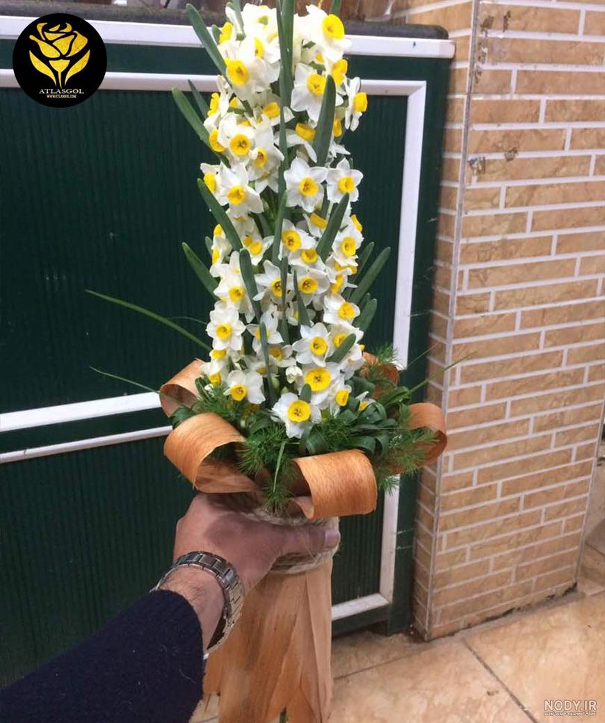 عکس گل نرگس قرمز