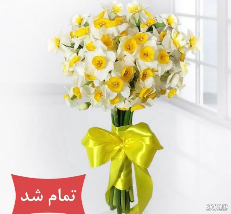 عکس گل نرگس و رز