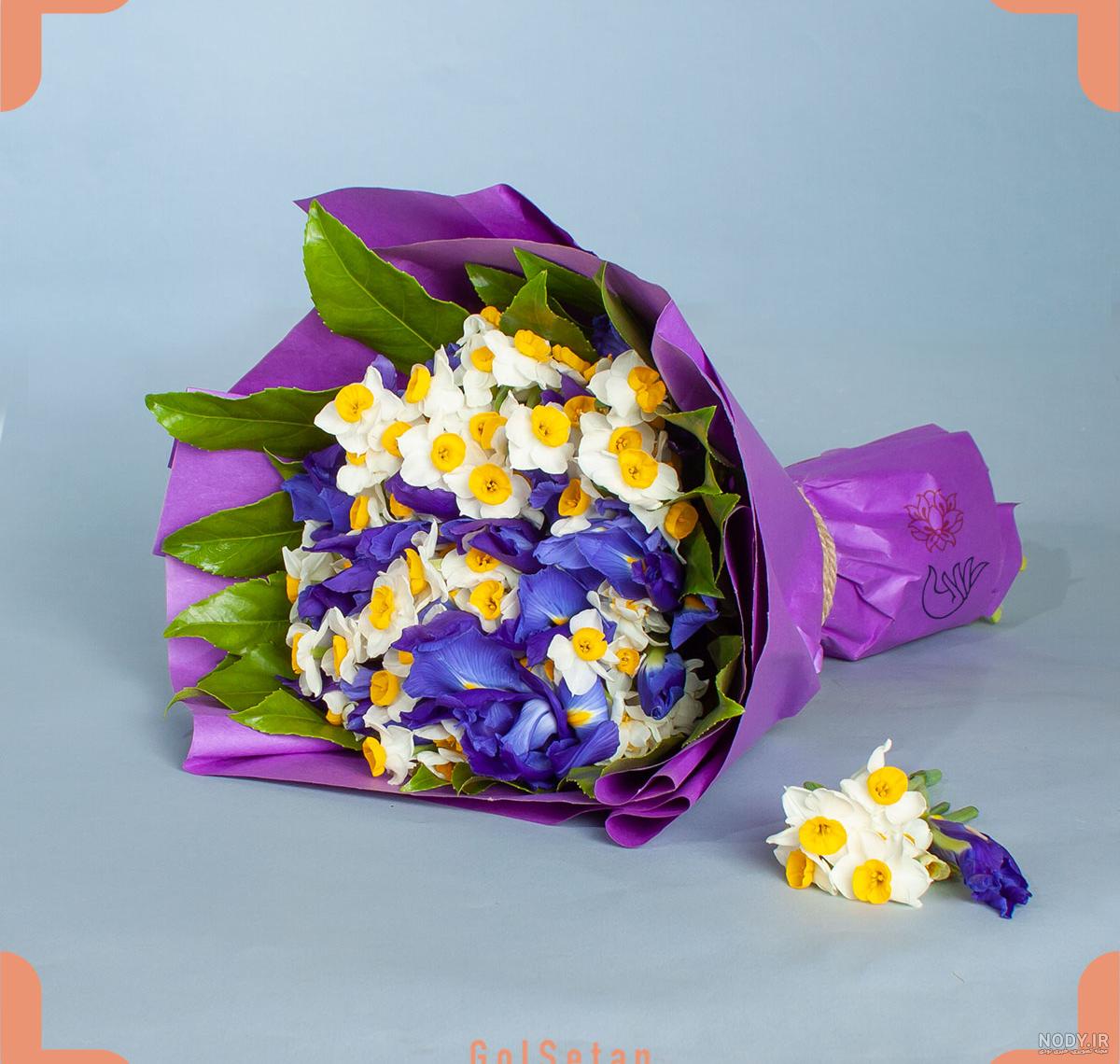 عکس گل نرگس و رز