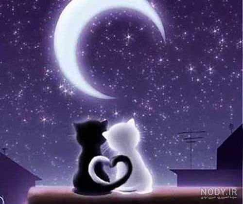 متن شب بخیر