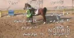 پخش زنده اسب دوانی گنبد امروز پخش زنده اسب دوانی گنبد امروز
