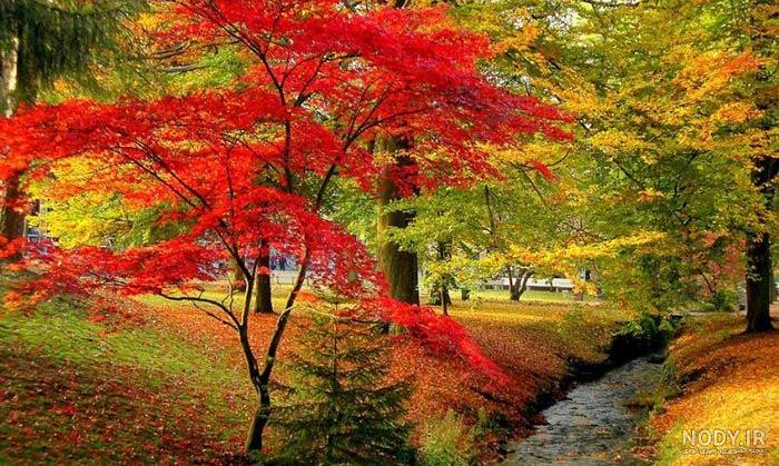 پروفایل تابستانی عاشقانه