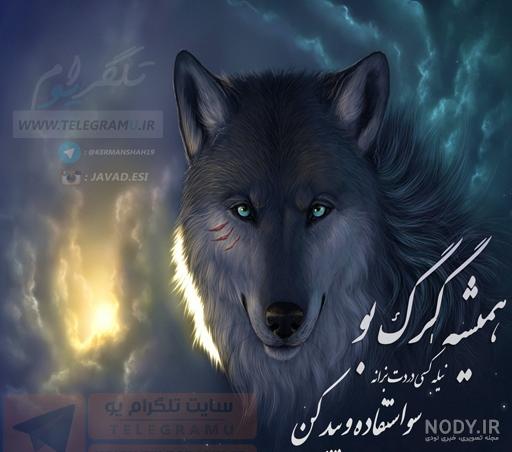 کانال تلگرام پروفایل کردی کرمانشاهی کانال تلگرام پروفایل کردی کرمانشاهی