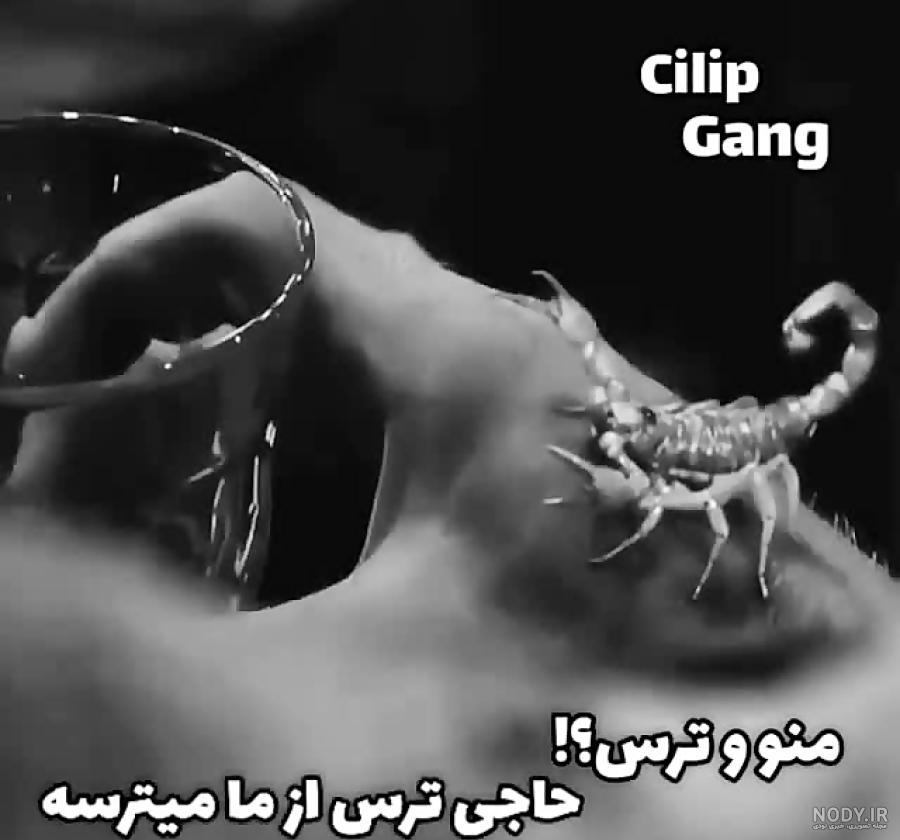 کلیپ لاتی پسرانه کلیپ لاتی پسرانه