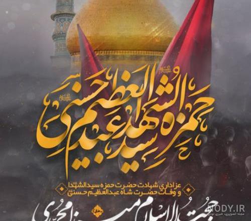 کلیپ وفات حضرت عبدالعظیم حسنی