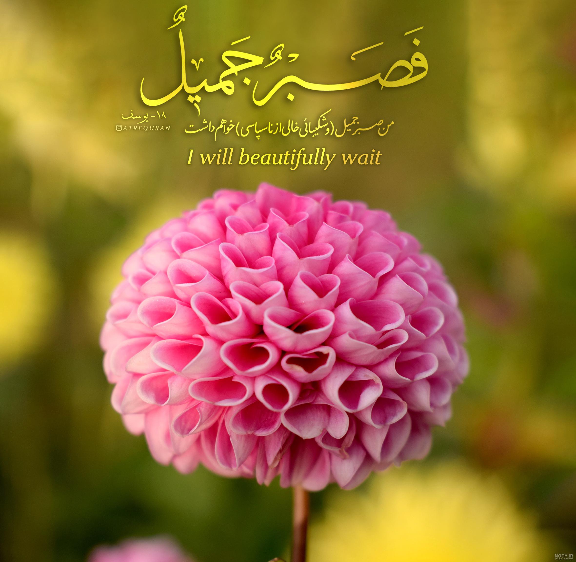 یک ایه از قران با معنی